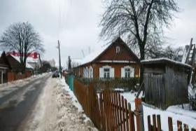 спилить дерево у дома