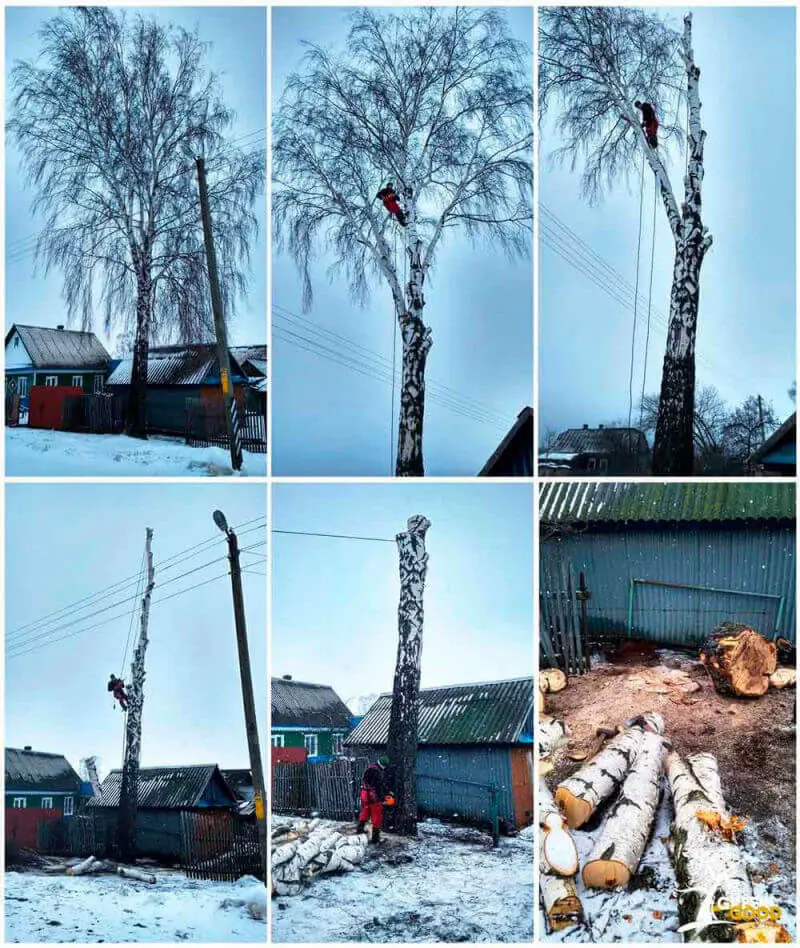 спилить дерево частями
